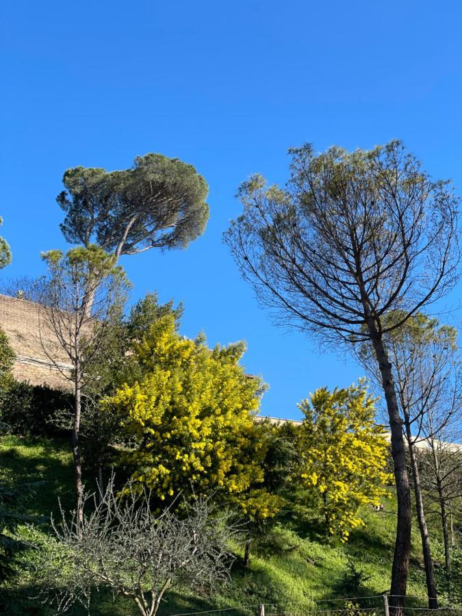 Apartment Vatican Green Holidays House Rom